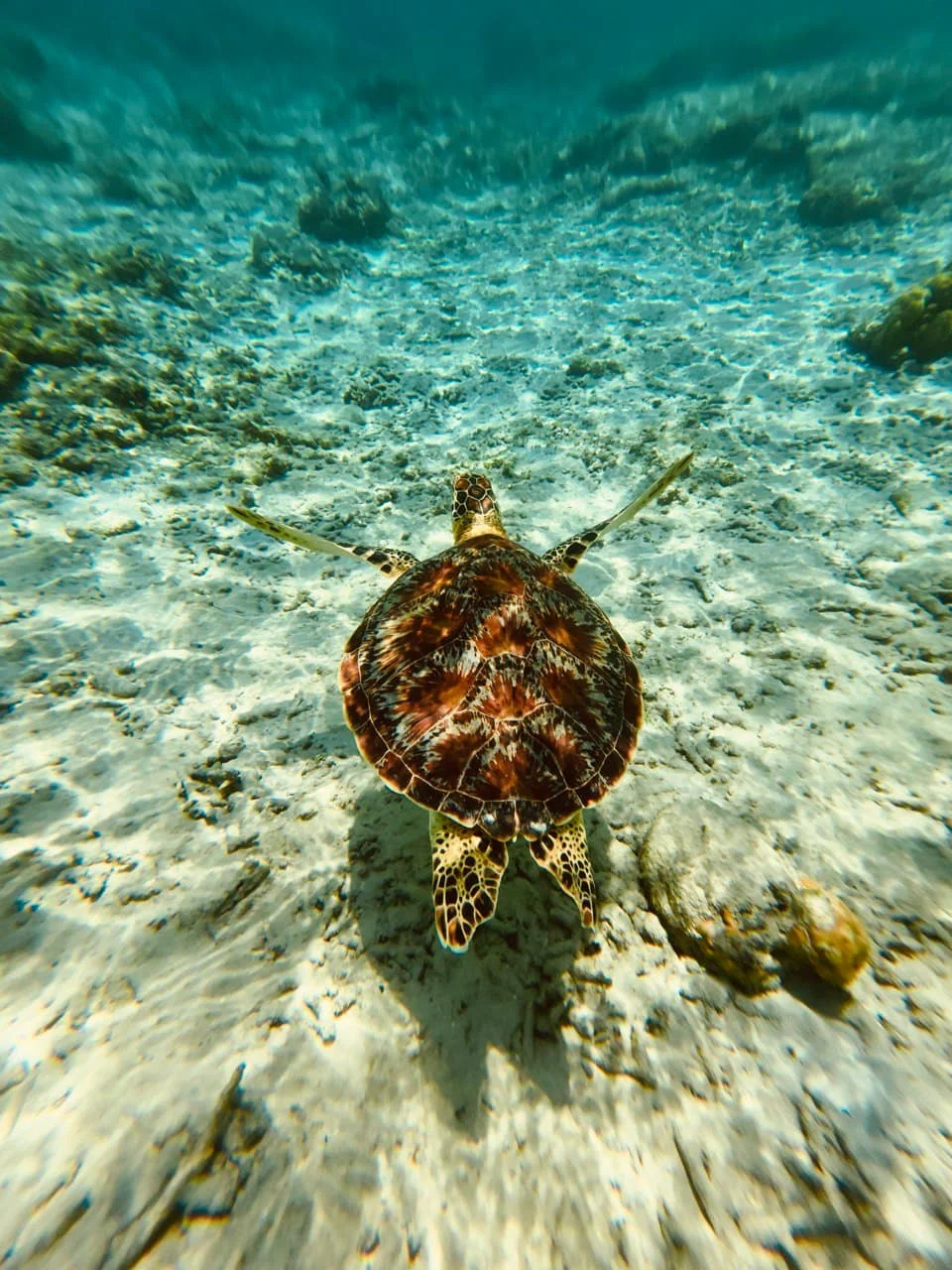 Gili T — fotografie 3 z 5
