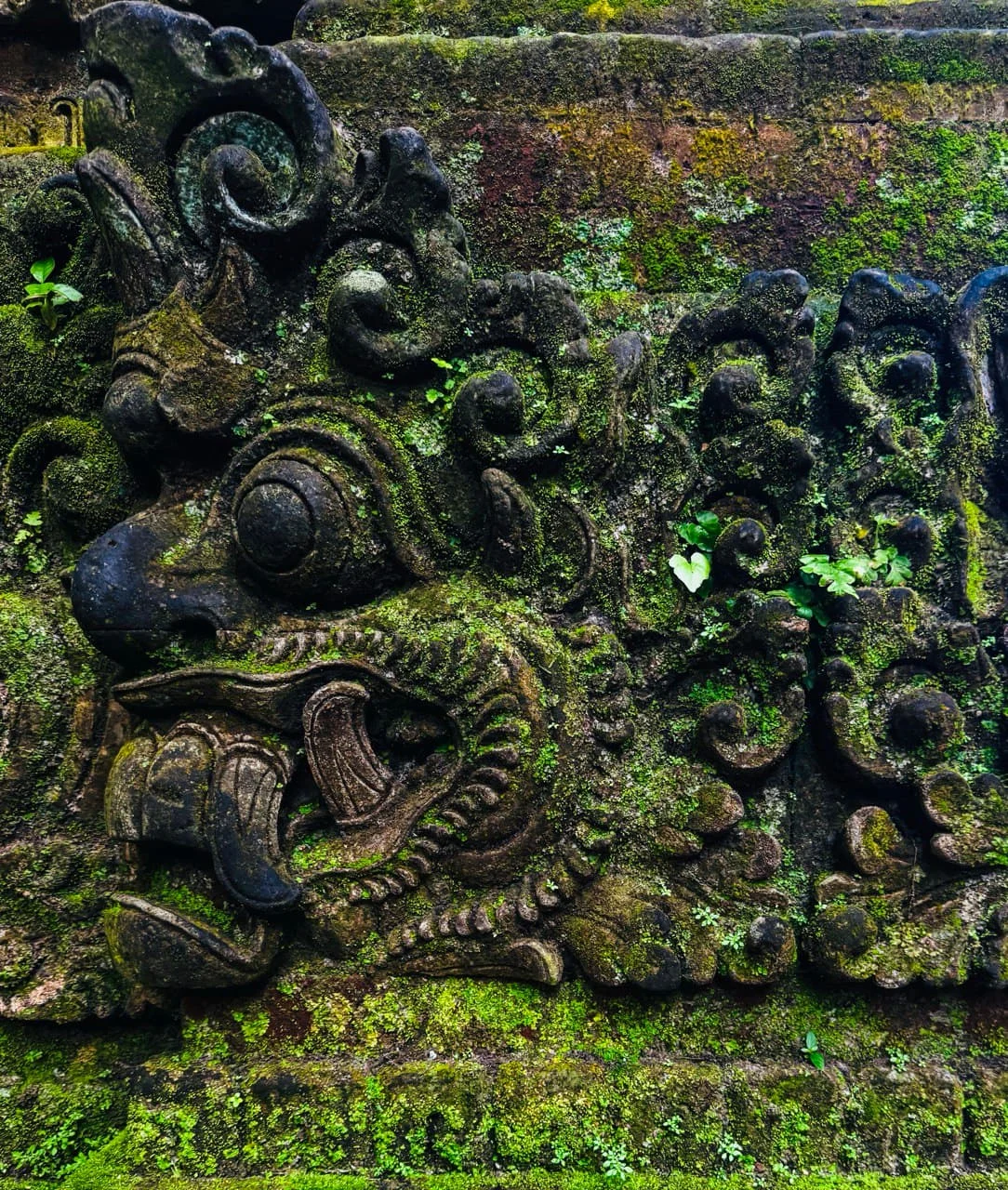 Ubud — fotografie 1 z 8